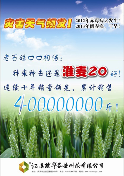 淮麦20