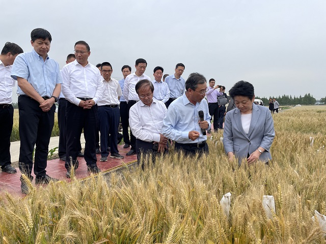 瑞华农业