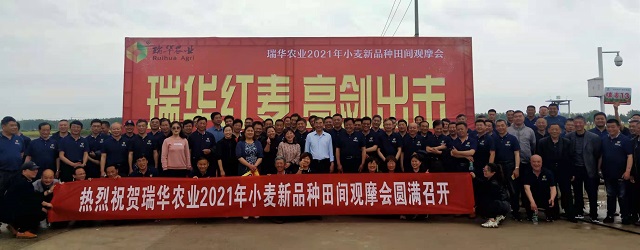 彩霸王中特