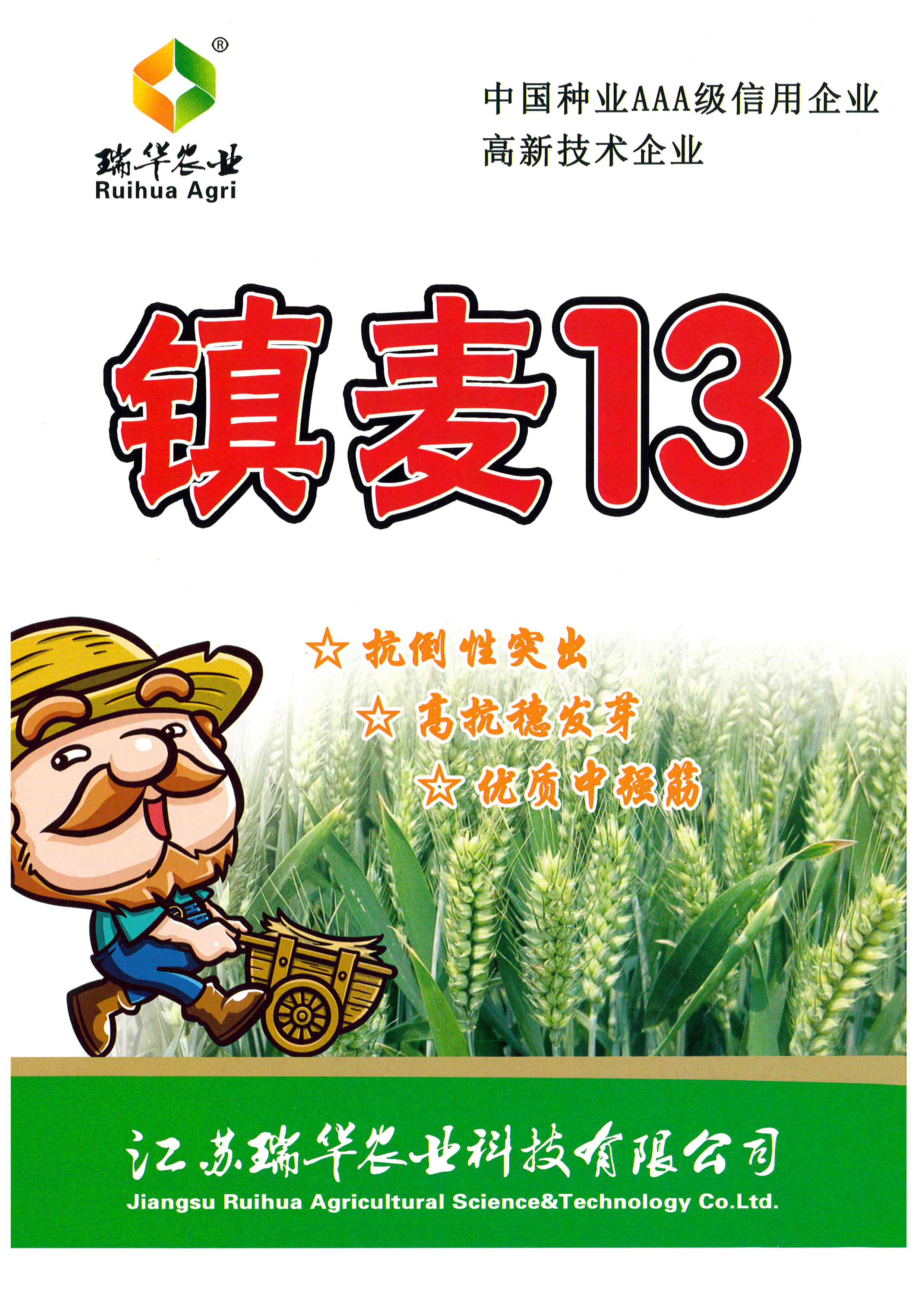 镇麦13