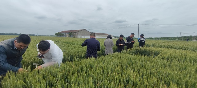 彩霸王中特