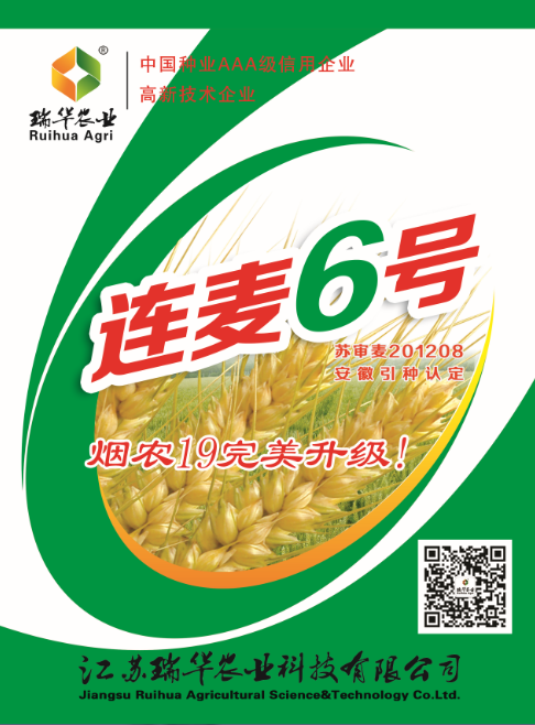 连麦6号