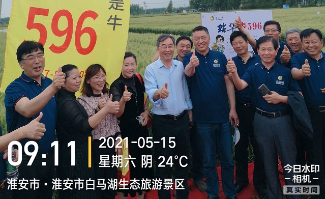 彩霸王中特