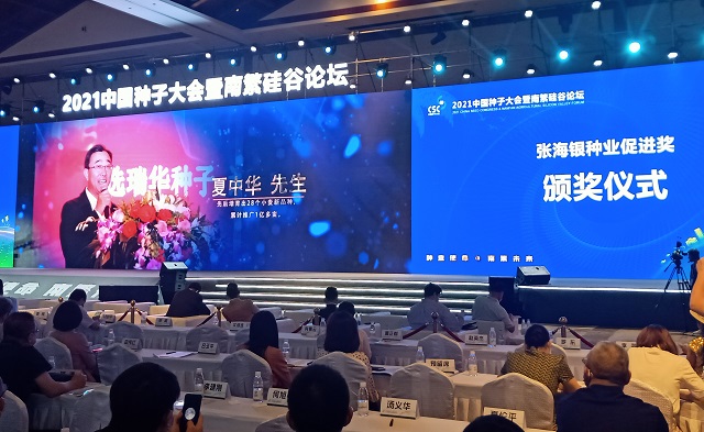 彩霸王中特