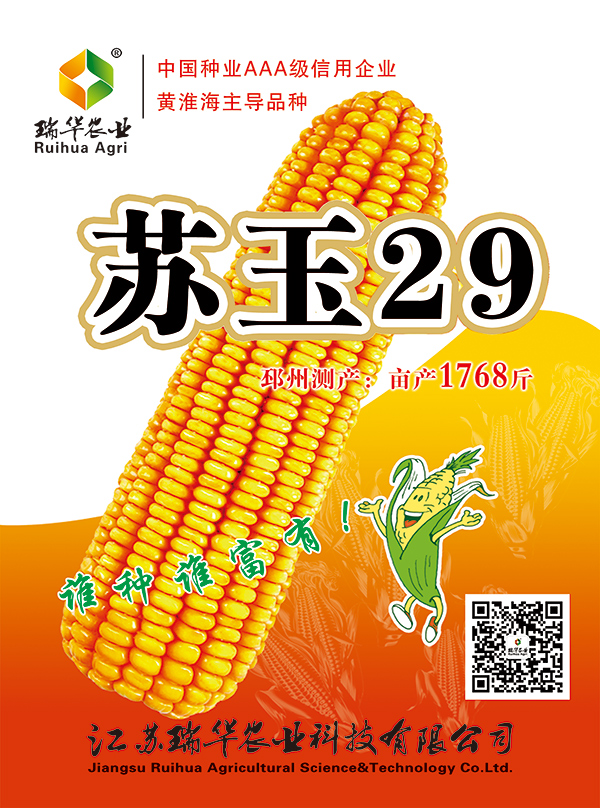 苏玉29