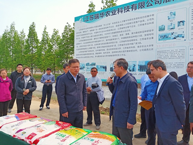 彩霸王中特