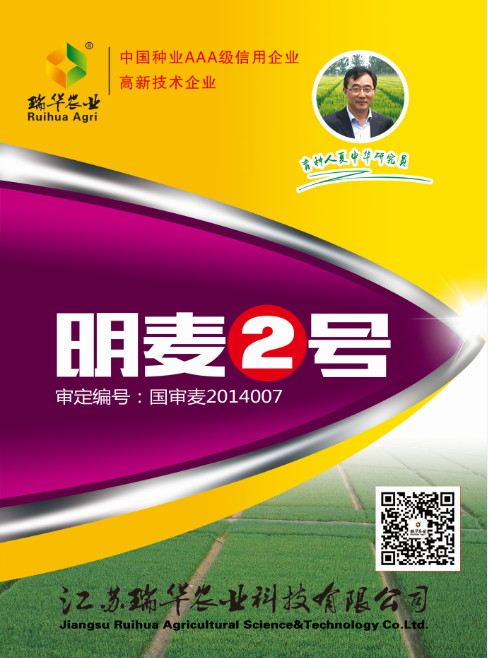 明麦2号