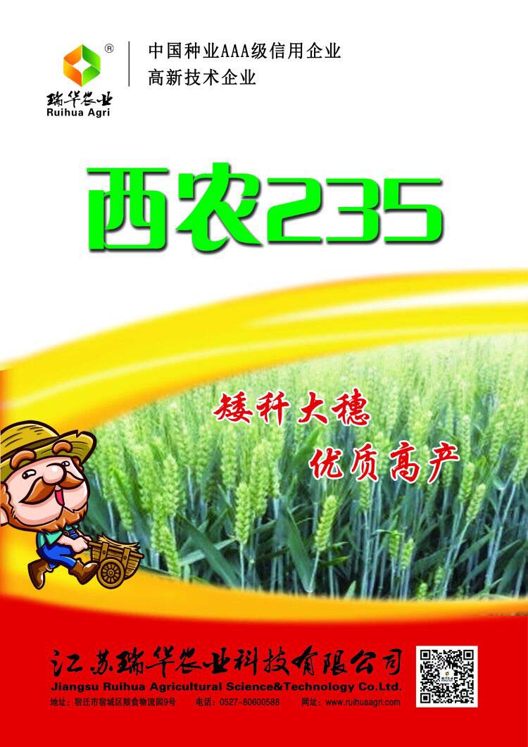 西农235