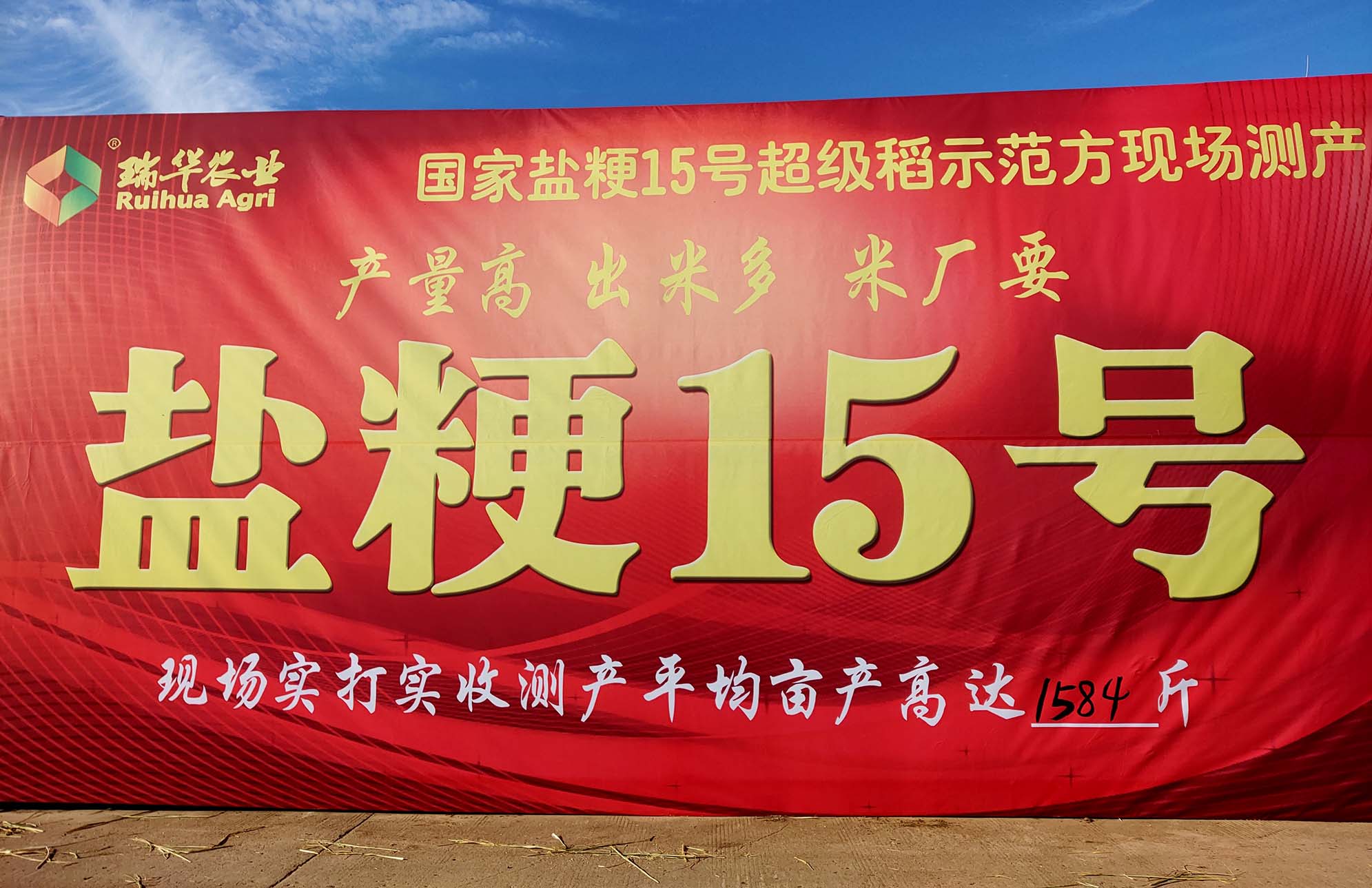 彩霸王中特